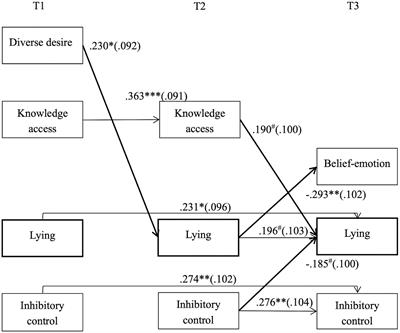 A Longitudinal Study of the Relations Between Theory of Mind, Executive Function, and Lying in Children